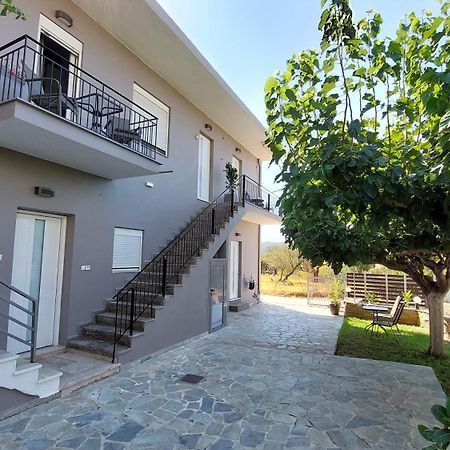 Stelios Studios Sougia Exterior foto